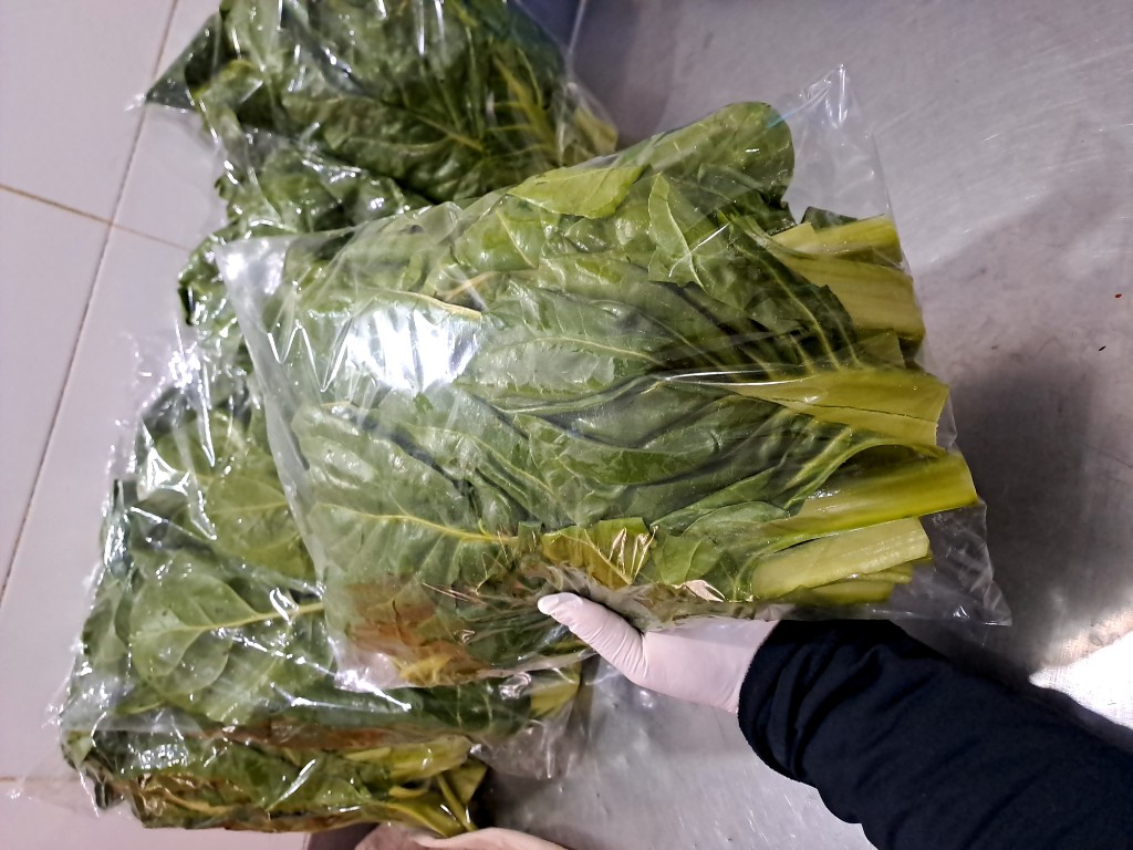 Acelga fresca seleccionada y envasada
